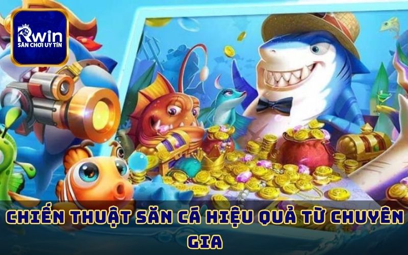 Chiến thuật săn cá hiệu quả từ chuyên gia