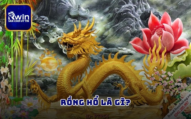 Rồng Hổ là gì?